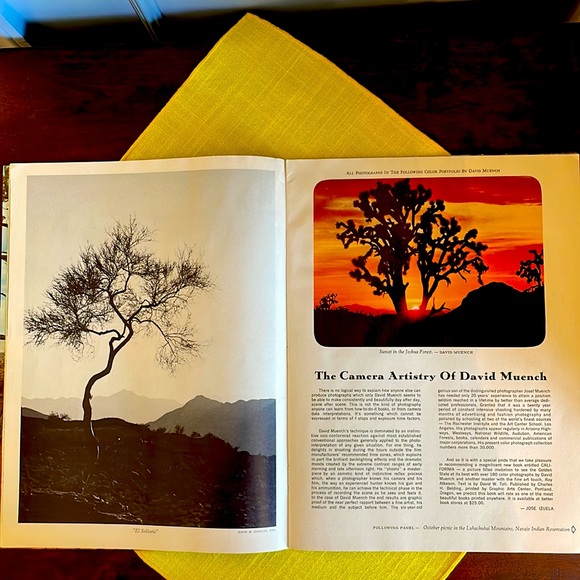 Vintage Arizona Highways magazine, January 1971, The Forests of Arizona - Picture 2 of 5